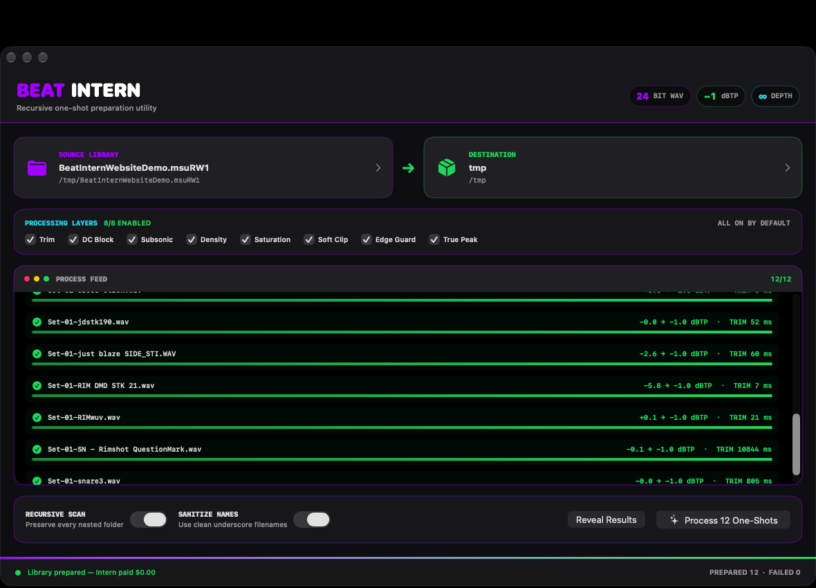 Beat Intern showing twelve prepared files, zero failures, and the completed library status